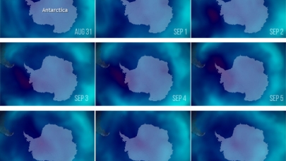 The seasonal Antarctic ozone hole—the area where the ozone concentration drops below 220 Dobson units—reached its peak area on September 8, 2019.  In these NOAA satellite images from August 31–September 8 (upper left to bottom right), places with high ozone levels are bright blue, while the ozone hole is dark blue and deep red. (NOAA Climate.gov image, based on daily TOAST data processed by NOAA's Environmental Visualization Lab.) 